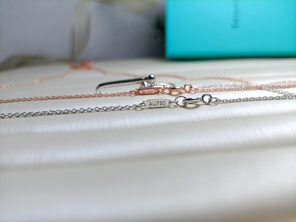[Spark Jewels]HARDWEAR DROP DOUBLE LINK PEDANT NECKLACE